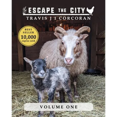 Escape the City volume 1