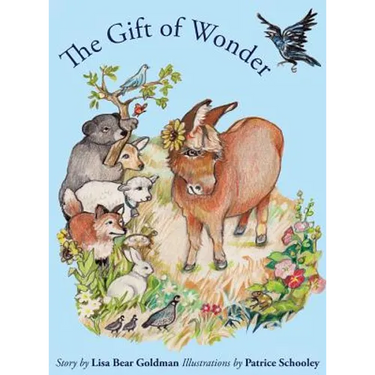 The Gift of Wonder