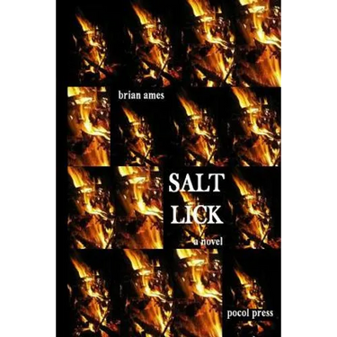 Salt Lick