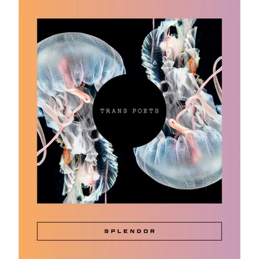 Splendor: Trans Poets