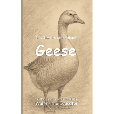 It's Time to Learn about Geese