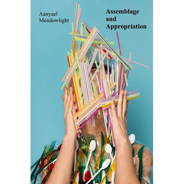 Assemblage and Appropriation: Found Objects, Recycled Materials, and the Narrative Potential of Installation