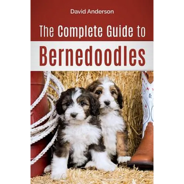 The Complete Guide to Bernedoodles: Everything you need to know to successfully raise your Bernedoodle puppy!