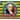 James Madison