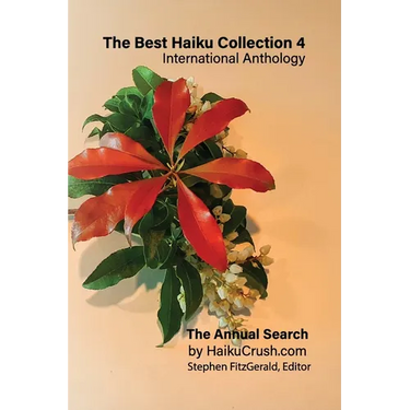 The Best Haiku Collection 4: International Anthology