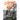 The Company of the Wolf