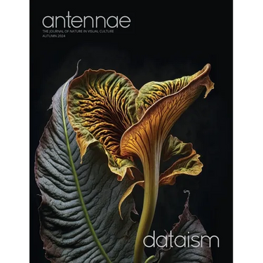 Antennae #65 Dataism