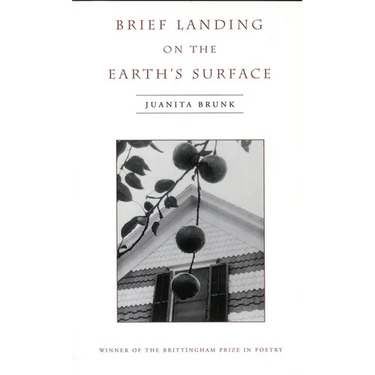 Brief Landing on the Earth's Surface: Volume 1996