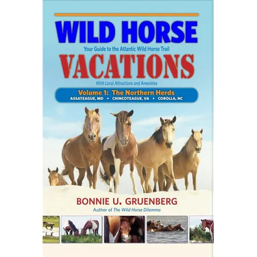 Wild Horse Vacations: Your Guide to the Atlantic Wild Horse Trail (With Local Attractions and Amenities)
