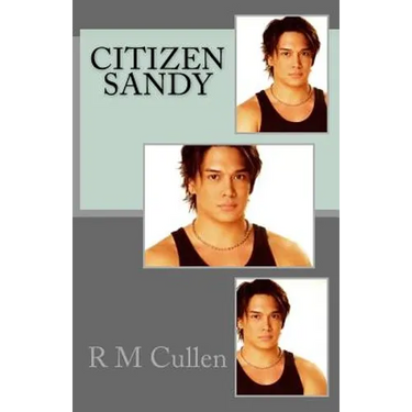 Citizen Sandy