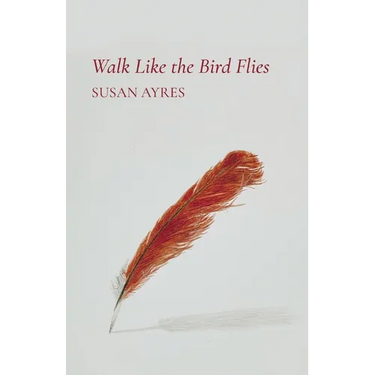 Walk Like the Bird Flies