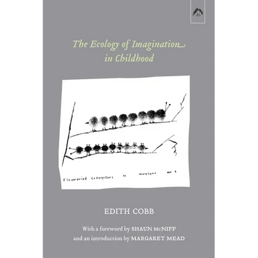 The Ecology of Imagination in Childhood