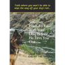 300 Day Hikes To Take With Your Dog Before He Tires You Out: Trails where you won't be able to wipe the wag off your dog's tail