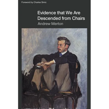Evidende that We Are Descended from Chairs