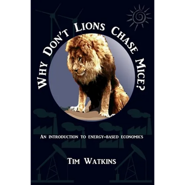 Why Don't Lions Chase Mice?: An introduction to energy-based economics