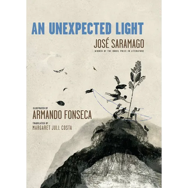An Unexpected Light