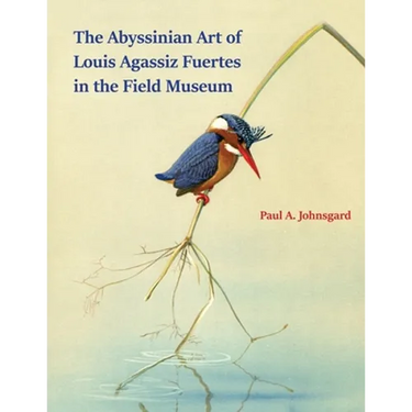 The Abyssinian Art of Louis Agassiz Fuertes in the Field Museum