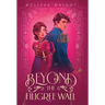 Beyond the Filigree Wall