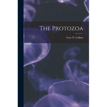 The Protozoa