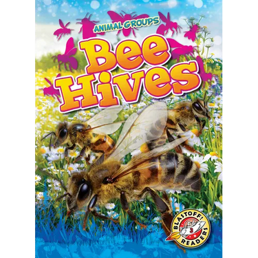 Bee Hives
