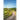The Path Forward
