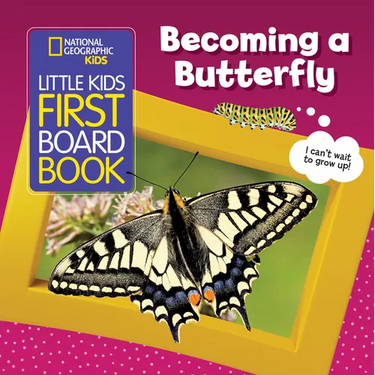 National Geographic Kids Little Kids First Board Book: Becoming a Butterfly