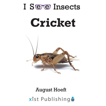 Cricket