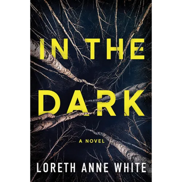 In the Dark