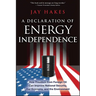 A Declaration of Energy Independence: How Freedom from Foreign Oil Can Improve National Security, Our Economy, and the Environment