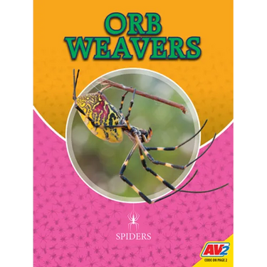 Orb Weavers