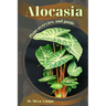 Alocasia: Plant overview and guide
