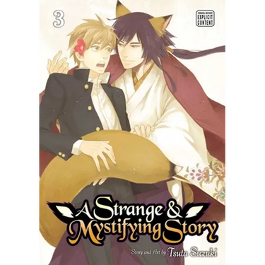 A Strange & Mystifying Story, Vol. 3
