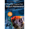Essential Tropical Fish: Setup & Maintenance Guide