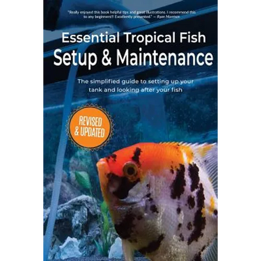 Essential Tropical Fish: Setup & Maintenance Guide