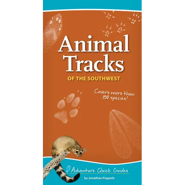 Animal Tracks of the Southwest: Your Way to Easily Identify Animal Tracks
