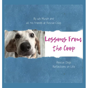 Lessons From the Coop: Rescue Dogs Reflections on life
