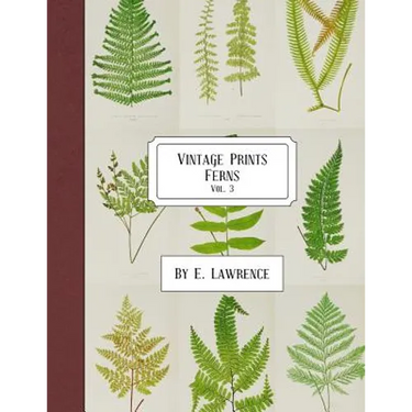 Vintage Prints: Ferns: Vol. 3