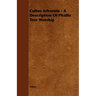 Cultus Arborum - A Description Of Phallic Tree Worship