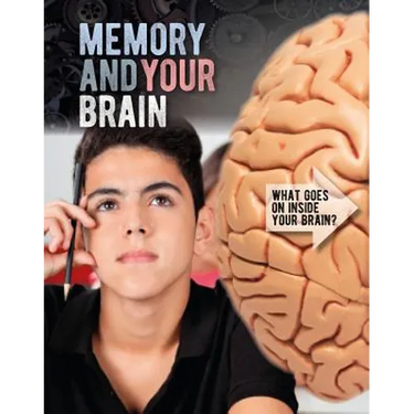 Memory and Your Brain