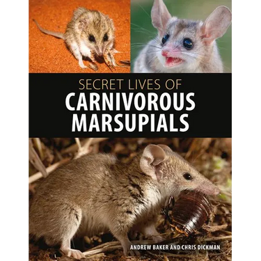 Secret Lives of Carnivorous Marsupials