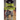 The Twin Within