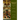 Matthew: New Testament Volume 1 Volume 1