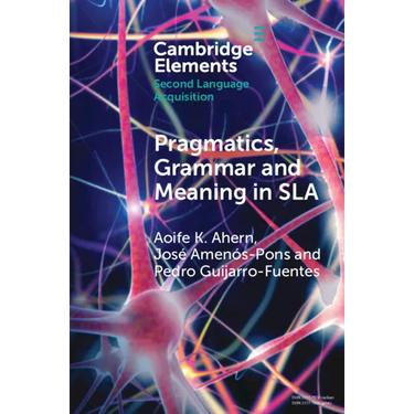 Pragmatics, Grammar and Meaning in SLA
