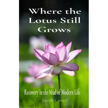Where the Lotus Still Grows: Recovery in the Mud of Modern Life
