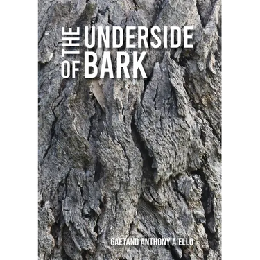 The Underside of Bark