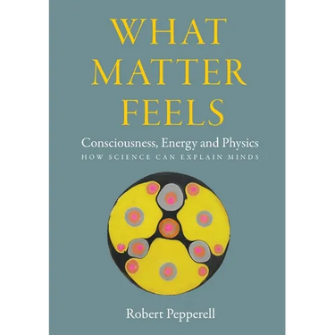 What Matter Feels: Consciousness, Energy and Physics (How Science can Explain Minds)
