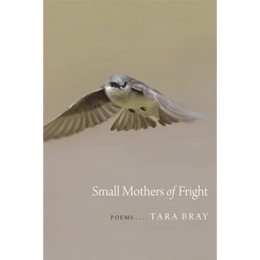 Small Mothers of Fright: Poems