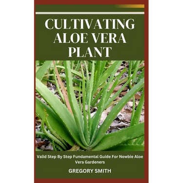 Cultivating Aloe Vera Plant: Valid Step By Step Fundamental Guide For Newbie Aloe Vera Gardeners