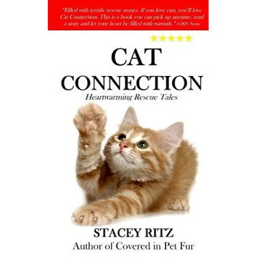 Cat Connection: Heartwarming Rescue Tales