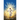 Reflections On a Christian Life: Why We Need Jesus
